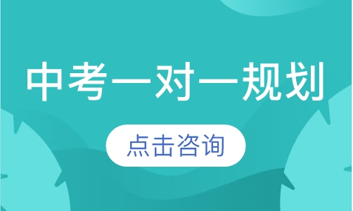 中考一对一辅导