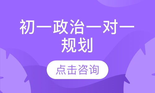 初一政治一对一辅导