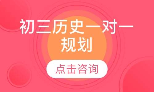 初三历史一对一辅导