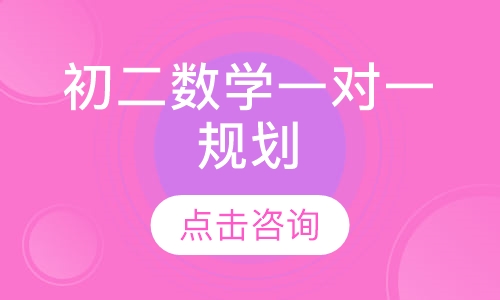 初二数学一对一辅导