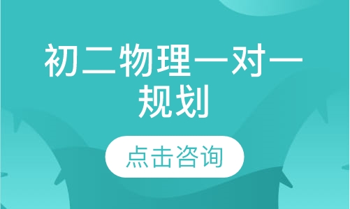 初二物理一对一辅导