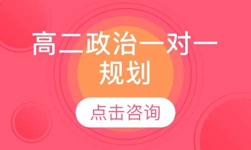 高二政治一对一辅导