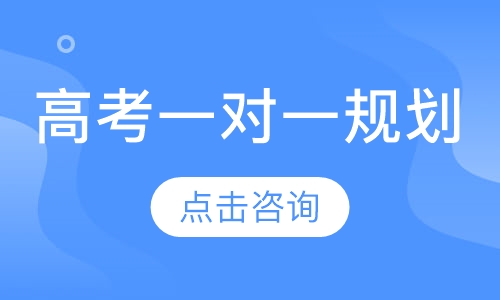 高考一对一辅导